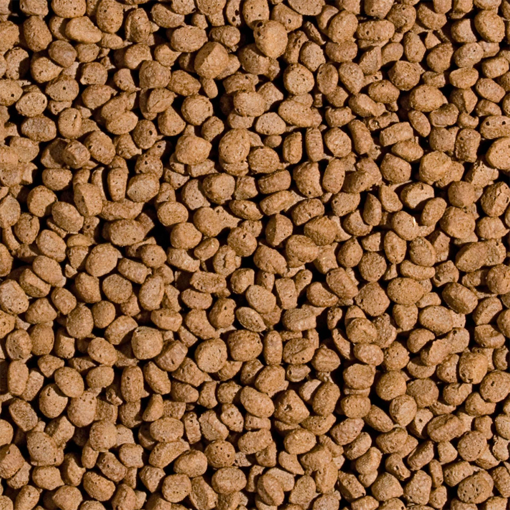 Tropical Koi Probiotic Pellet M 5L / 1,5kg Pokarm probiotyczny dla karpi Koi